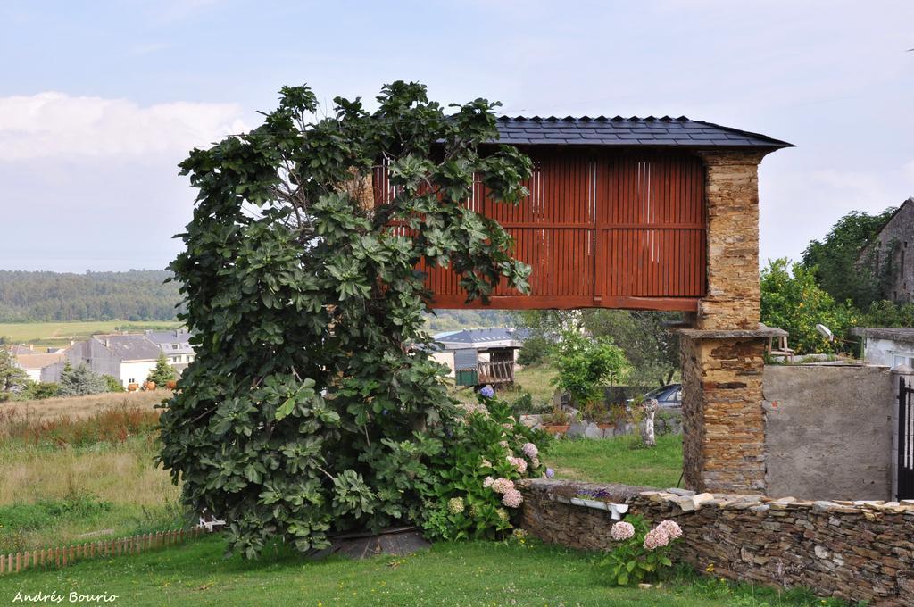 Apartamentos A Palleira バレイロス エクステリア 写真